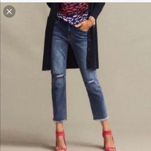 Cabi cropped high straight